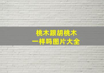 桃木跟胡桃木一样吗图片大全