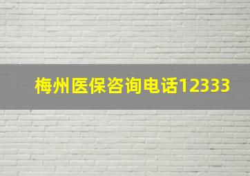 梅州医保咨询电话12333