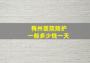 梅州医院陪护一般多少钱一天