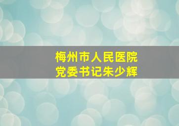 梅州市人民医院党委书记朱少辉