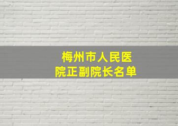 梅州市人民医院正副院长名单