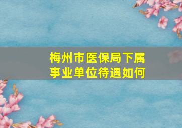 梅州市医保局下属事业单位待遇如何