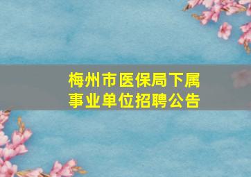 梅州市医保局下属事业单位招聘公告