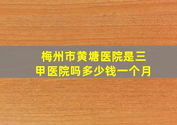 梅州市黄塘医院是三甲医院吗多少钱一个月