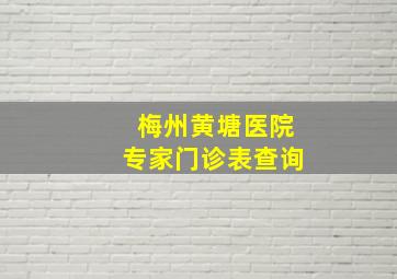 梅州黄塘医院专家门诊表查询