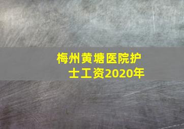 梅州黄塘医院护士工资2020年