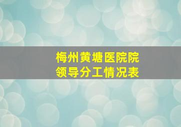 梅州黄塘医院院领导分工情况表