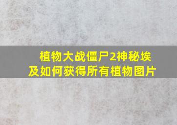 植物大战僵尸2神秘埃及如何获得所有植物图片