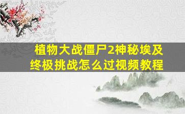 植物大战僵尸2神秘埃及终极挑战怎么过视频教程