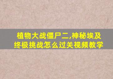 植物大战僵尸二,神秘埃及终极挑战怎么过关视频教学