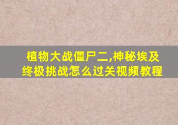 植物大战僵尸二,神秘埃及终极挑战怎么过关视频教程