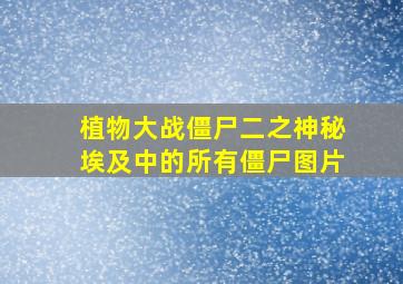 植物大战僵尸二之神秘埃及中的所有僵尸图片