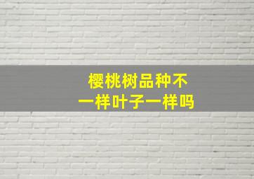 樱桃树品种不一样叶子一样吗