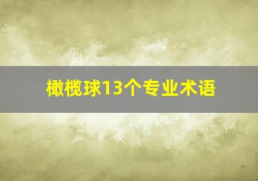 橄榄球13个专业术语