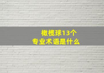 橄榄球13个专业术语是什么