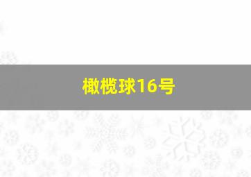 橄榄球16号