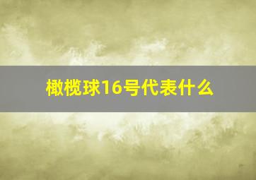 橄榄球16号代表什么