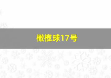 橄榄球17号