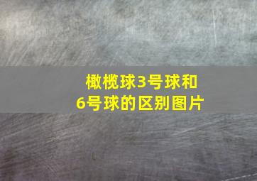 橄榄球3号球和6号球的区别图片