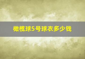 橄榄球5号球衣多少钱