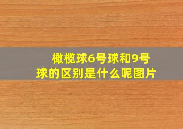 橄榄球6号球和9号球的区别是什么呢图片