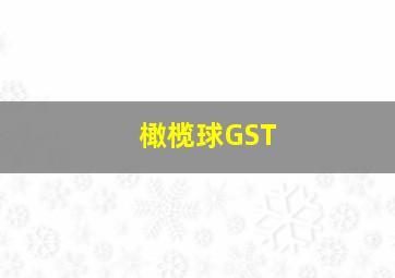 橄榄球GST