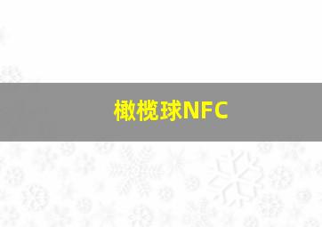 橄榄球NFC