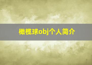 橄榄球obj个人简介