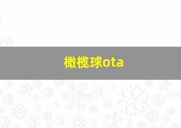 橄榄球ota