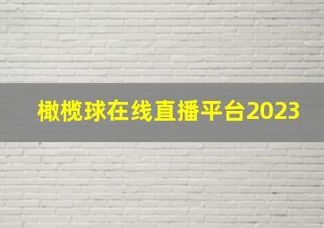 橄榄球在线直播平台2023