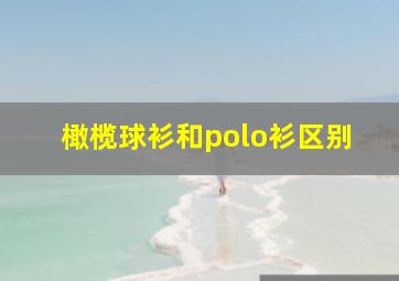 橄榄球衫和polo衫区别