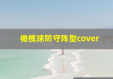 橄榄球防守阵型cover