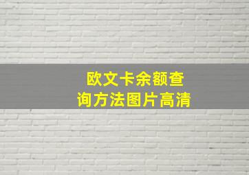 欧文卡余额查询方法图片高清