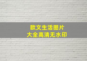 欧文生活图片大全高清无水印