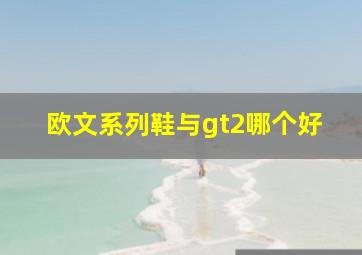 欧文系列鞋与gt2哪个好