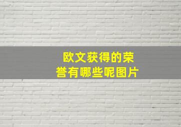 欧文获得的荣誉有哪些呢图片