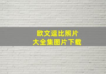 欧文逗比照片大全集图片下载