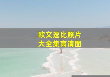 欧文逗比照片大全集高清图