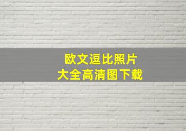 欧文逗比照片大全高清图下载