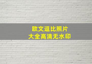 欧文逗比照片大全高清无水印