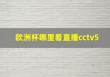 欧洲杯哪里看直播cctv5