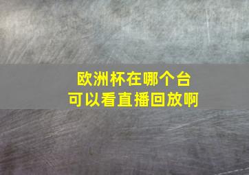 欧洲杯在哪个台可以看直播回放啊