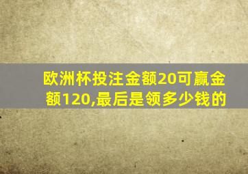 欧洲杯投注金额20可赢金额120,最后是领多少钱的