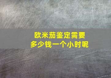 欧米茄鉴定需要多少钱一个小时呢