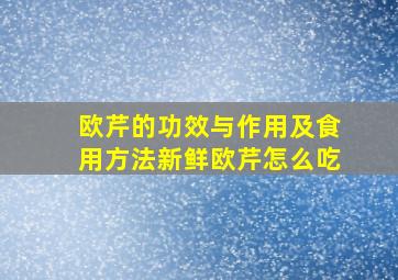 欧芹的功效与作用及食用方法新鲜欧芹怎么吃