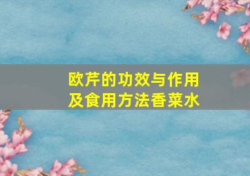 欧芹的功效与作用及食用方法香菜水