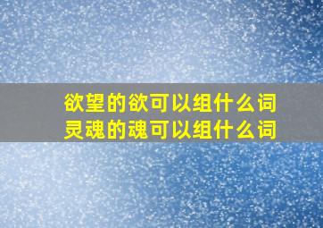 欲望的欲可以组什么词灵魂的魂可以组什么词