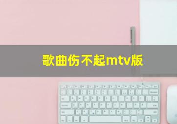 歌曲伤不起mtv版