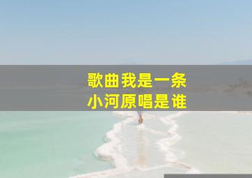 歌曲我是一条小河原唱是谁