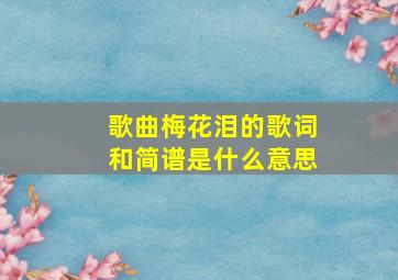 歌曲梅花泪的歌词和简谱是什么意思